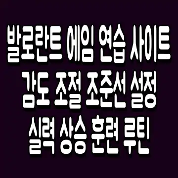 발로란트 에임 연습 사이트 감도 조절 조준선 설정 실력 상승 훈련 루틴