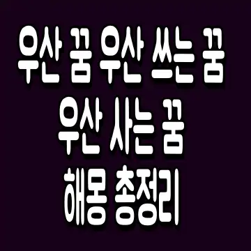 우산 꿈 우산 쓰는 꿈 우산 사는 꿈 해몽 총정리
