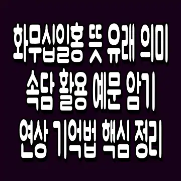 화무십일홍 뜻 유래 의미 속담 활용 예문 암기 연상 기억법 핵심 정리