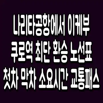 나리타공항에서 이케부쿠로역 최단 환승 노선표 첫차 막차 소요시간 교통패스