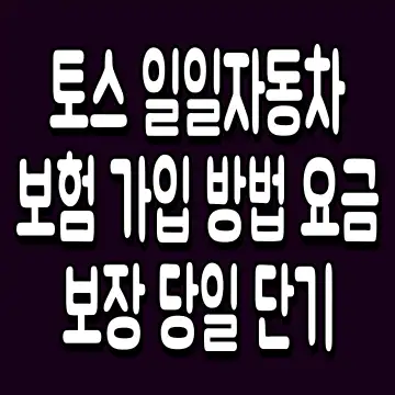 토스 일일자동차보험 가입 방법 요금 보장 당일 단기