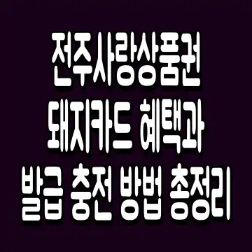 전주사랑상품권 돼지카드 혜택과 발급 충전 방법 총정리
