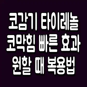 코감기 타이레놀 코막힘 빠른 효과 원할 때 복용법