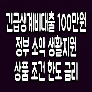 긴급생계비대출 100만원 정부 소액 생활지원 상품 조건 한도 금리