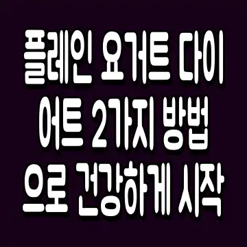 플레인 요거트 다이어트 2가지 방법으로 건강하게 시작