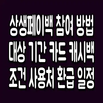 상생페이백 참여 방법 대상 기간 카드 캐시백 조건 사용처 환급 일정