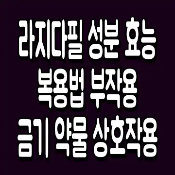 라지다필 성분 효능 복용법 부작용 금기 약물 상호작용