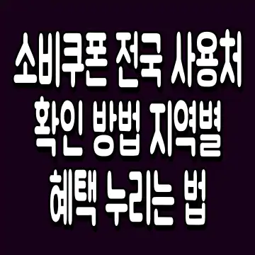 소비쿠폰 전국 사용처 확인 방법 지역별 혜택 누리는 법