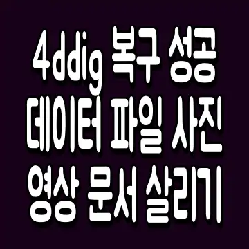 4ddig 복구 성공 데이터 파일 사진 영상 문서 살리기