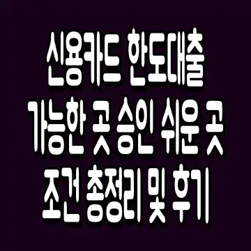 신용카드 한도대출 가능한 곳 승인 쉬운 곳 조건 총정리 및 후기