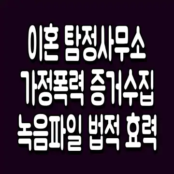 이혼 탐정사무소 가정폭력 증거수집 녹음파일 법적 효력