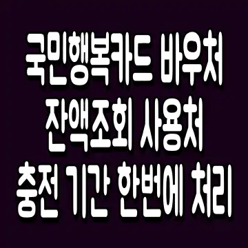국민행복카드 바우처 잔액조회 사용처 충전 기간 한번에 처리
