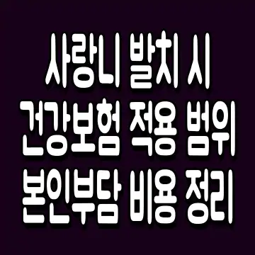 사랑니 발치 시 건강보험 적용 범위 본인부담 비용 정리