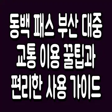 동백 패스 부산 대중교통 이용 꿀팁과 편리한 사용 가이드