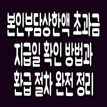 본인부담상한액 초과금 지급일 확인 방법과 환급 절차 완전 정리