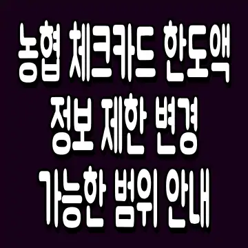 농협 체크카드 한도액 정보 제한 변경 가능한 범위 안내