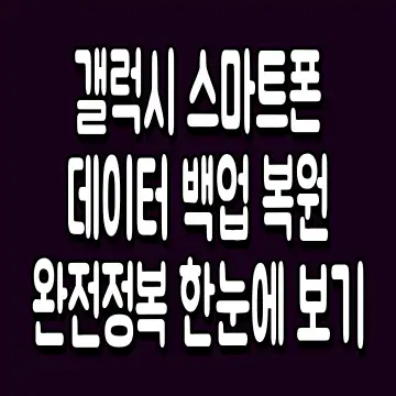 갤럭시 스마트폰 데이터 백업 복원 완전정복 한눈에 보기