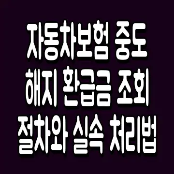 자동차보험 중도해지 환급금 조회 절차와 실속 처리법