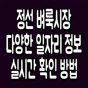 정선 벼룩시장 다양한 일자리 정보 실시간 확인 방법