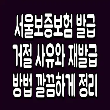 서울보증보험 발급 거절 사유와 재발급 방법 깔끔하게 정리