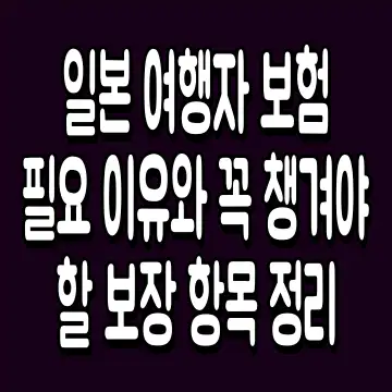 일본 여행자 보험 필요 이유와 꼭 챙겨야 할 보장 항목 정리