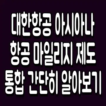 대한항공 아시아나항공 마일리지 제도 통합 간단히 알아보기
