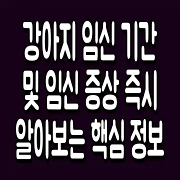 강아지 임신 기간 및 임신 증상 즉시 알아보는 핵심 정보
