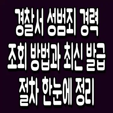 경찰서 성범죄 경력 조회 방법과 최신 발급 절차 한눈에 정리