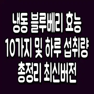 냉동 블루베리 효능 10가지 및 하루 섭취량 총정리 최신버전