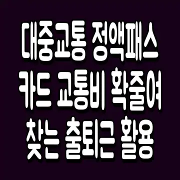 대중교통 정액패스 카드 교통비 확줄여 찾는 출퇴근 활용
