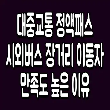 대중교통 정액패스 시외버스 장거리 이동자 만족도 높은 이유