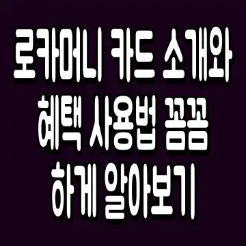 로카머니 카드 소개와 혜택 사용법 꼼꼼하게 알아보기