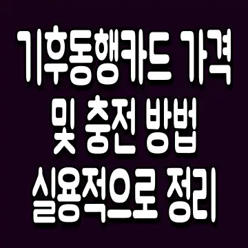 기후동행카드 가격 및 충전 방법 실용적으로 정리