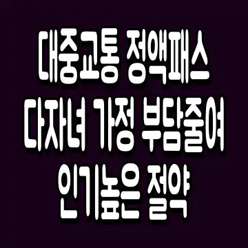 대중교통 정액패스 다자녀 가정 부담줄여 인기높은 절약