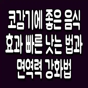 코감기에 좋은 음식 효과 빠른 낫는 법과 면역력 강화법