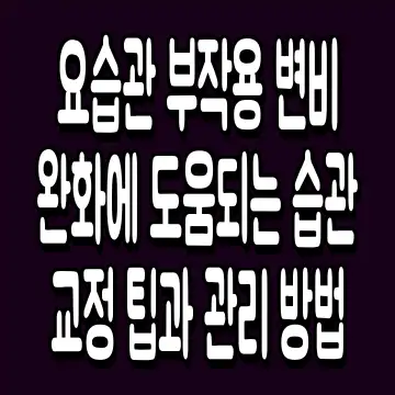 요습관 부작용 변비 완화에 도움되는 습관 교정 팁과 관리 방법