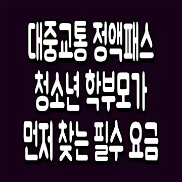 대중교통 정액패스 청소년 학부모가 먼저 찾는 필수 요금