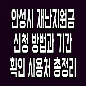 안성시 재난지원금 신청 방법과 기간 확인 사용처 총정리