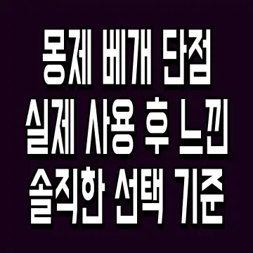 몽제 베개 단점 실제 사용 후 느낀 솔직한 선택 기준