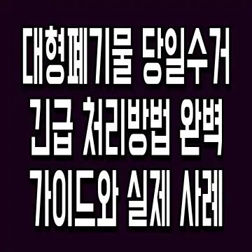 대형폐기물 당일수거 긴급 처리방법 완벽 가이드와 실제 사례