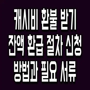 캐시비 환불 받기 잔액 환급 절차 신청 방법과 필요 서류
