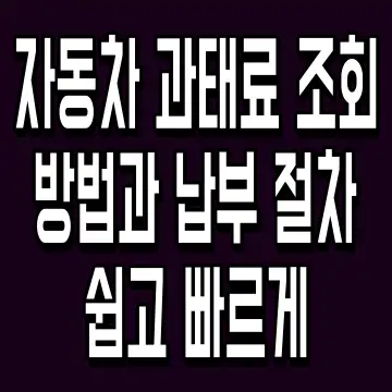 자동차 과태료 조회 방법과 납부 절차 쉽고 빠르게