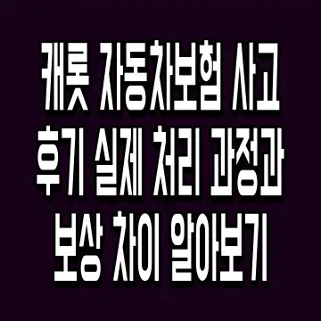 캐롯 자동차보험 사고 후기 실제 처리 과정과 보상 차이 알아보기