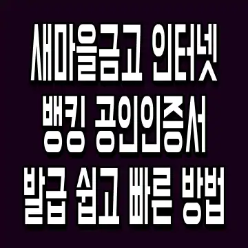 새마을금고 인터넷뱅킹 공인인증서 발급 쉽고 빠른 방법