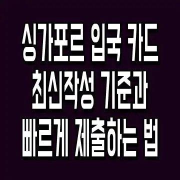 싱가포르 입국 카드 최신작성 기준과 빠르게 제출하는 법