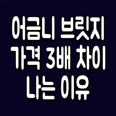 어금니 브릿지 가격 3배 차이 나는 이유