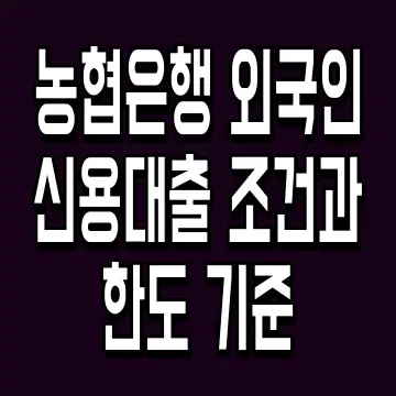 농협은행 외국인 신용대출 조건과 한도 기준