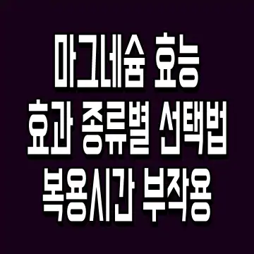마그네슘 효능효과 종류별 선택법 복용시간 부작용