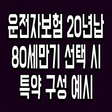 운전자보험 20년납 80세만기 선택 시 특약 구성 예시