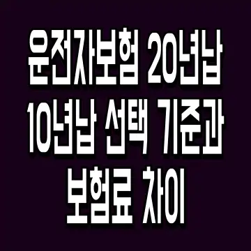 운전자보험 20년납 10년납 선택 기준과 보험료 차이